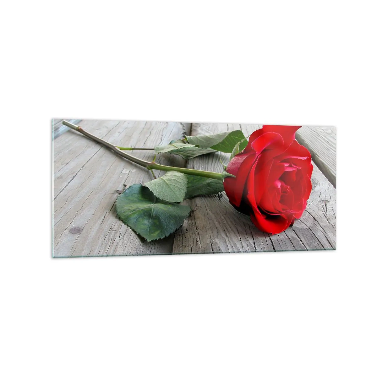 Cuadro sobre vidrio - Impresiones sobre Vidrio - Rosa roja sobre un fondo de madera - 120x50cm - Estudio en escarlata - Decoración de pared moderna para salón y dormitorio ARTTOR