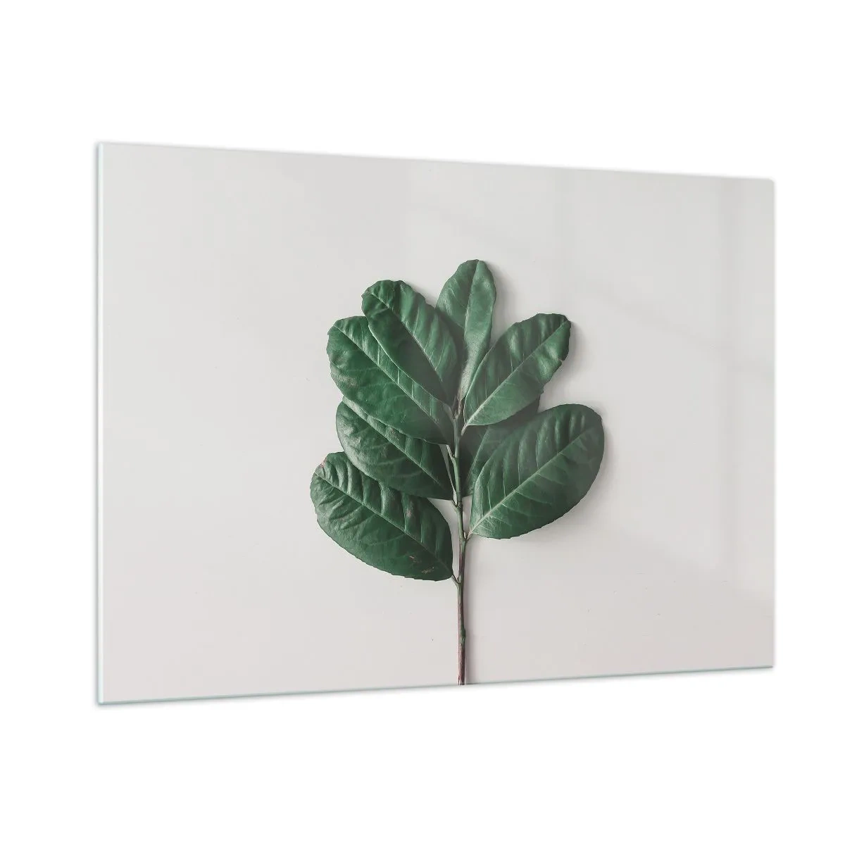 Cuadro sobre vidrio - Impresiones sobre Vidrio - Una rama con hojas verdes sobre un fondo claro. - 100x70cm - El dibujo de la propia naturaleza - Decoración de pared moderna para salón y dormitorio ARTTOR