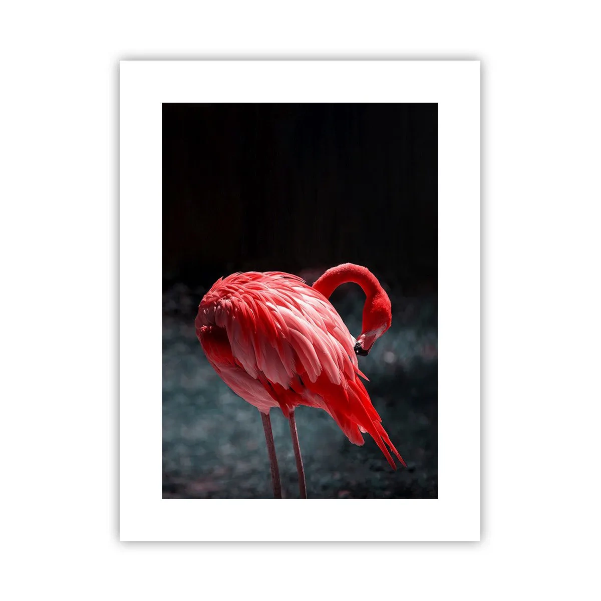 Póster - Un poema carmesí de la naturaleza - 30x40 cm