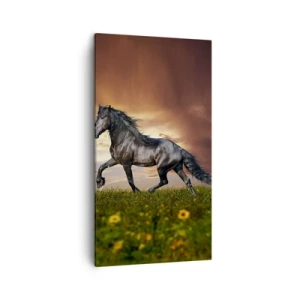 Cuadro sobre lienzo - Impresión de Imagen - Príncipe negro - 45x80 cm