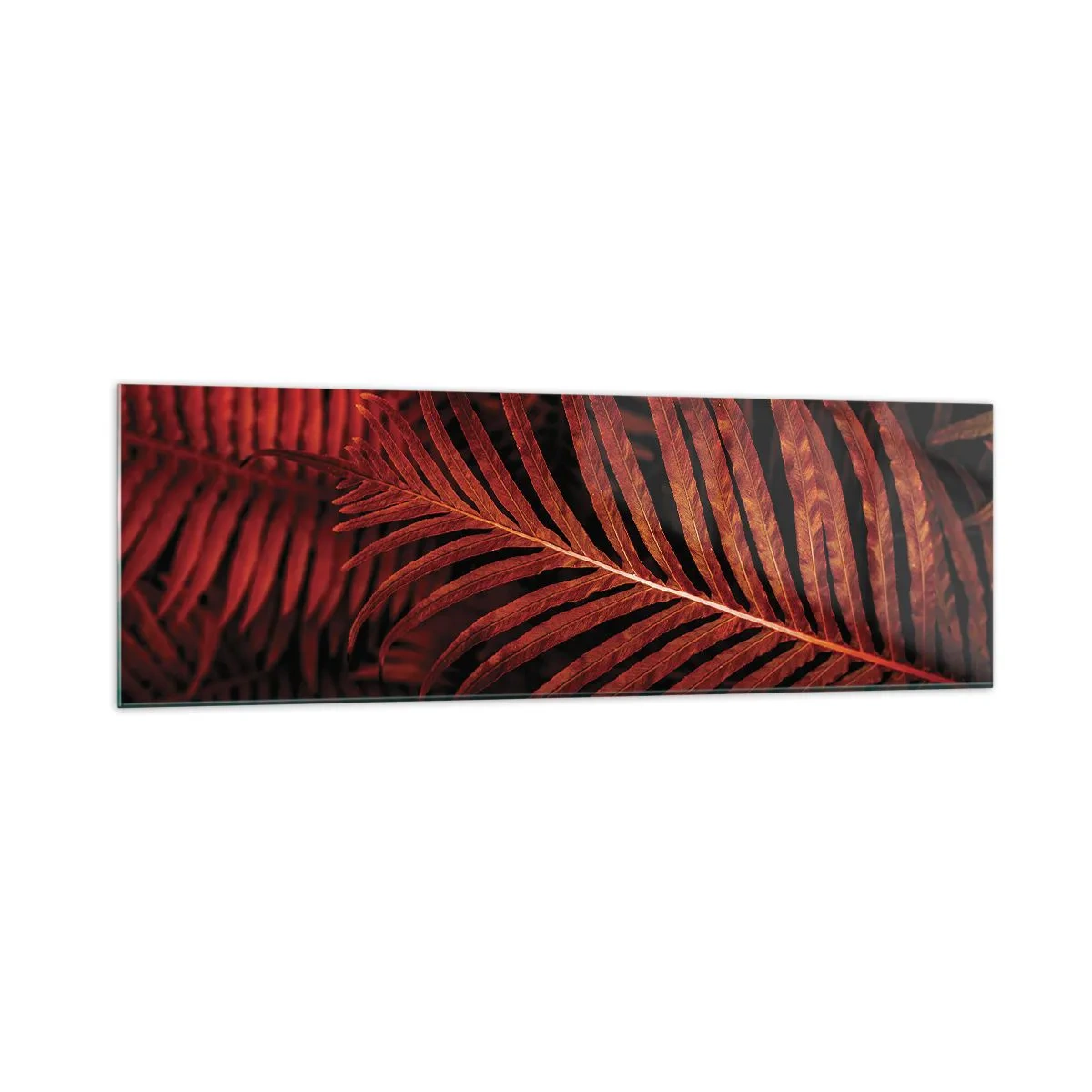Cuadro sobre vidrio - Impresiones sobre Vidrio - Primer plano de hojas tropicales rojas - 160x50cm - Las brasas de la vida - Decoración de pared moderna para salón y dormitorio ARTTOR