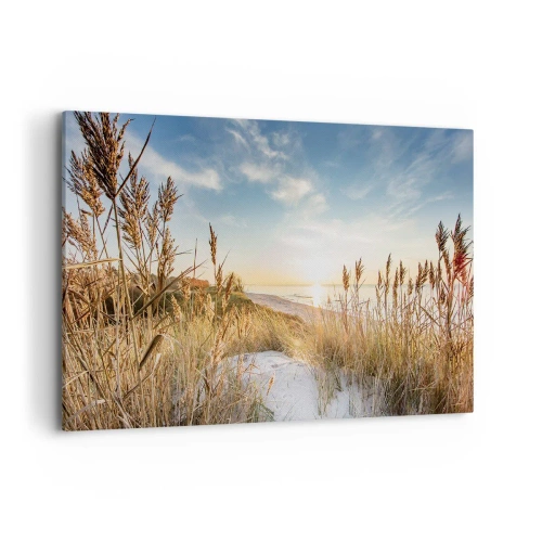 Cuadro sobre lienzo - Impresión de Imagen - Una playa pintoresca con césped y la puesta de sol. - 100x70cm - Playa del norte - Decoración de pared moderna para salón y dormitorio ARTTOR