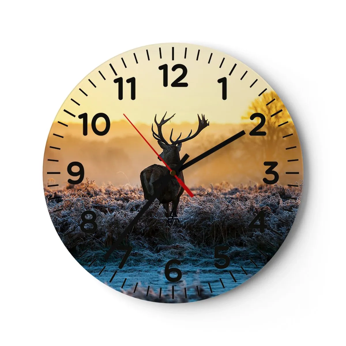 Reloj de pared - Reloj de vidrio - Coronado en sus propios dominios - 30x30 cm