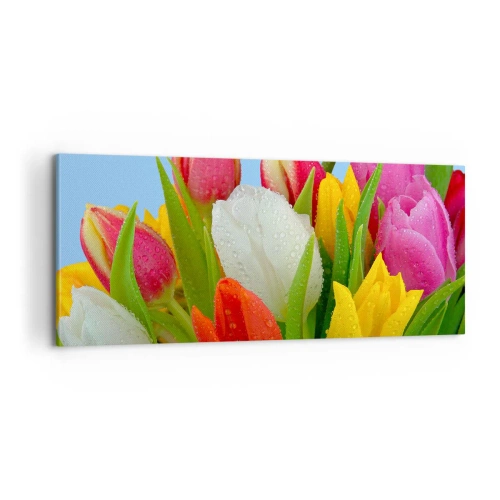 Cuadro sobre lienzo - Impresión de Imagen - Arco iris floral en gotas de rocío - 100x40 cm