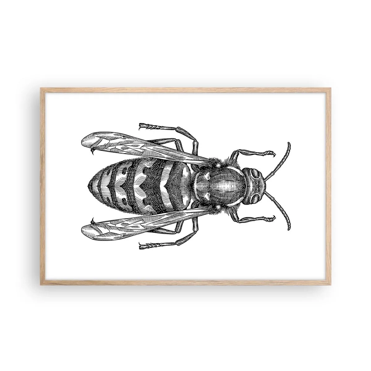 Póster en marco roble claro - Desde un planeta de insectos - 91x61 cm