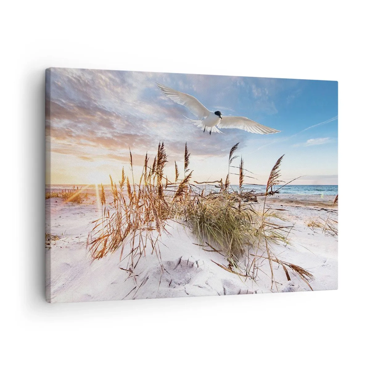 Cuadro sobre lienzo - Impresión de Imagen - Playa con gaviotas volando al atardecer - 70x50cm - Viento del mar - Decoración de pared moderna para salón y dormitorio ARTTOR