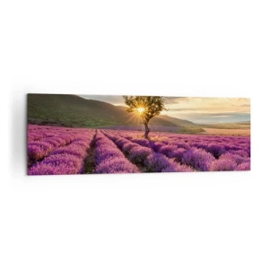 Cuadro sobre lienzo - Impresión de Imagen - Un campo de lavanda con un árbol solitario al atardecer. - 160x50cm - Aroma en lila - Decoración de pared moderna para salón y dormitorio ARTTOR