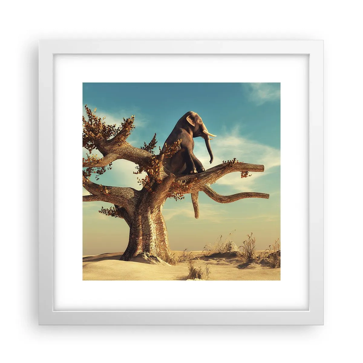 Póster en marco blanco - Un nuevo punto de vista - 30x30 cm