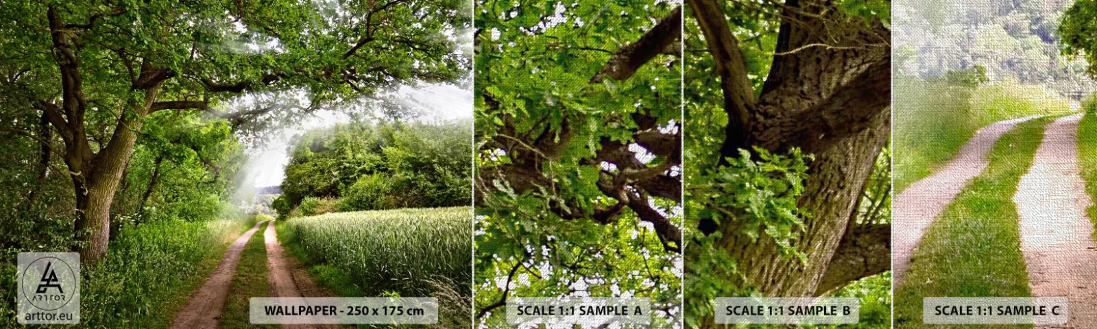 Muestra de fotomural Premium Canvas - Ensueño - Paisaje, Camino de tierra, Naturaleza - 100x30 cm