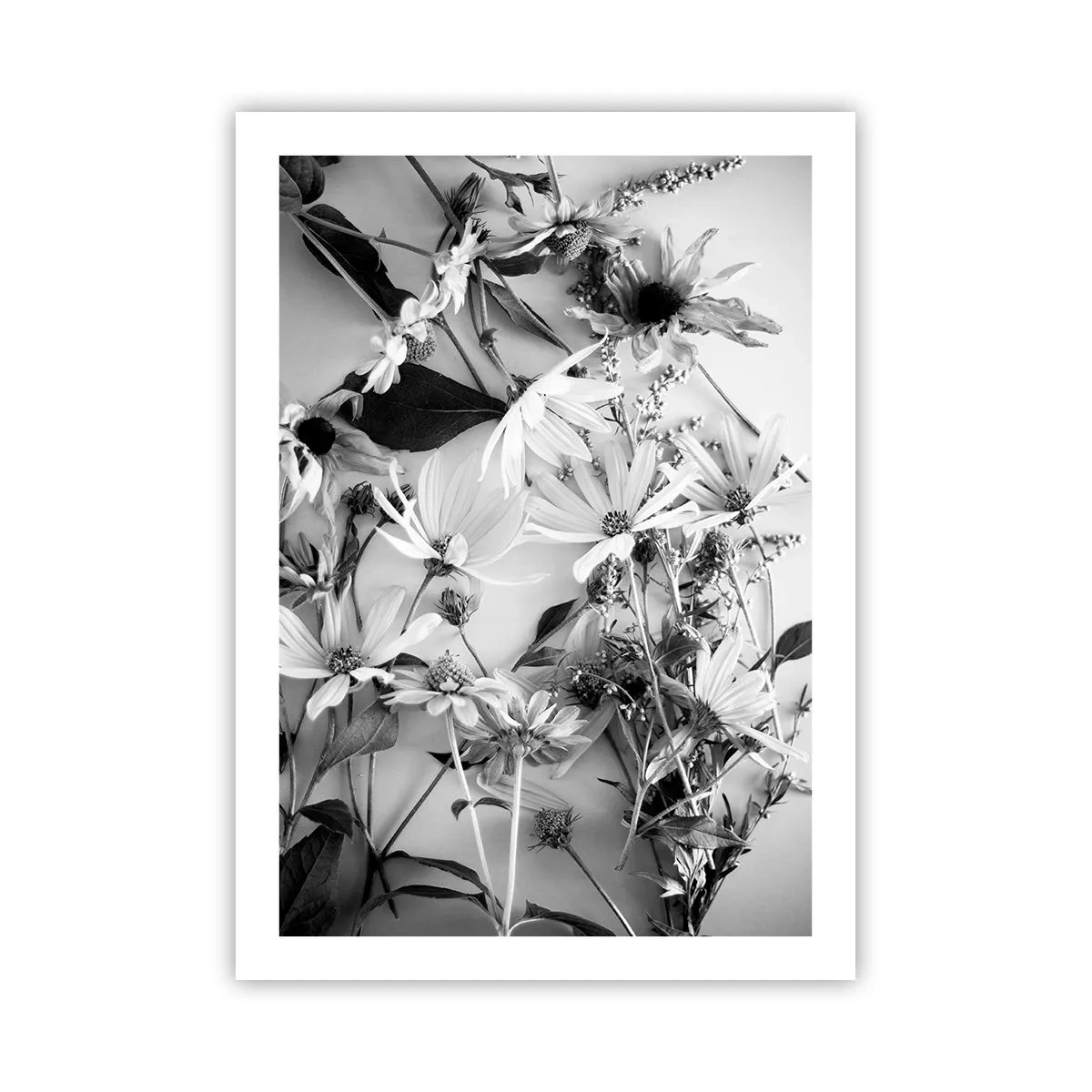Póster - Flores blancas y negras dispuestas en un arreglo artístico. - 50x70cm - Un no ramo de flores - Decoración de pared moderna para salón y dormitorio ARTTOR