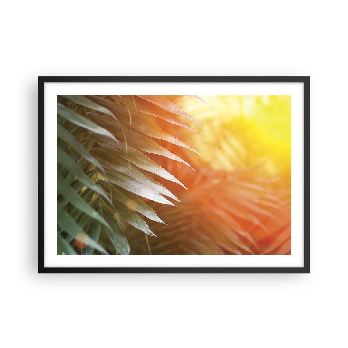 Póster en marco negro - Hojas de palma en los rayos del atardecer. - 70x50cm - Mañana en la selva - Decoración de pared moderna para salón y dormitorio ARTTOR