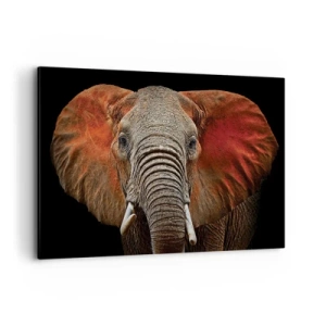 Cuadro sobre lienzo - Impresión de Imagen - Retrato de un elefante sobre fondo negro - 100x70cm - Soy salvaje, ¿y tú? - Decoración de pared moderna para salón y dormitorio ARTTOR