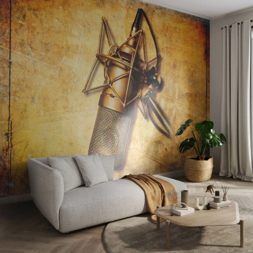 Fotomural Premium Canvas - Los años dorados de la radio - Micrófono, Música, Retro - 400x280 cm