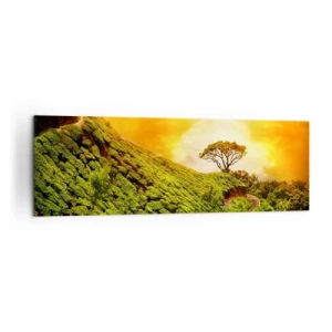 Cuadro sobre lienzo - Impresión de Imagen - Colinas verdes de plantaciones de té al atardecer - 160x50cm - Por un camino sinuoso, por una verde pendiente - Decoración de pared moderna para salón y dormitorio ARTTOR