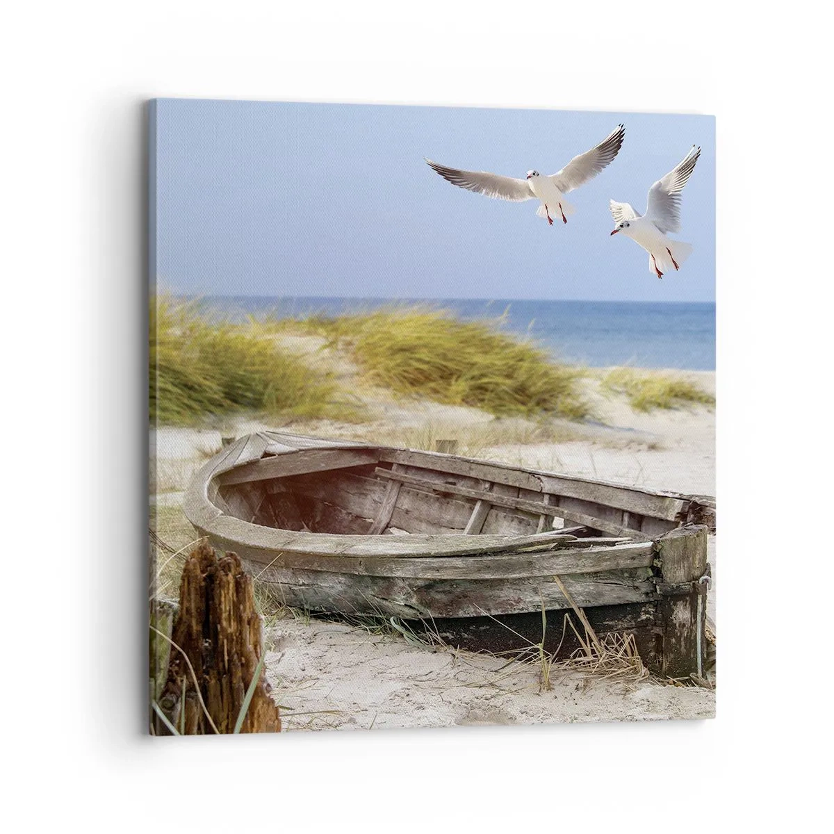 Cuadro sobre lienzo - Impresión de Imagen - Bañada por el viento - 70x70 cm