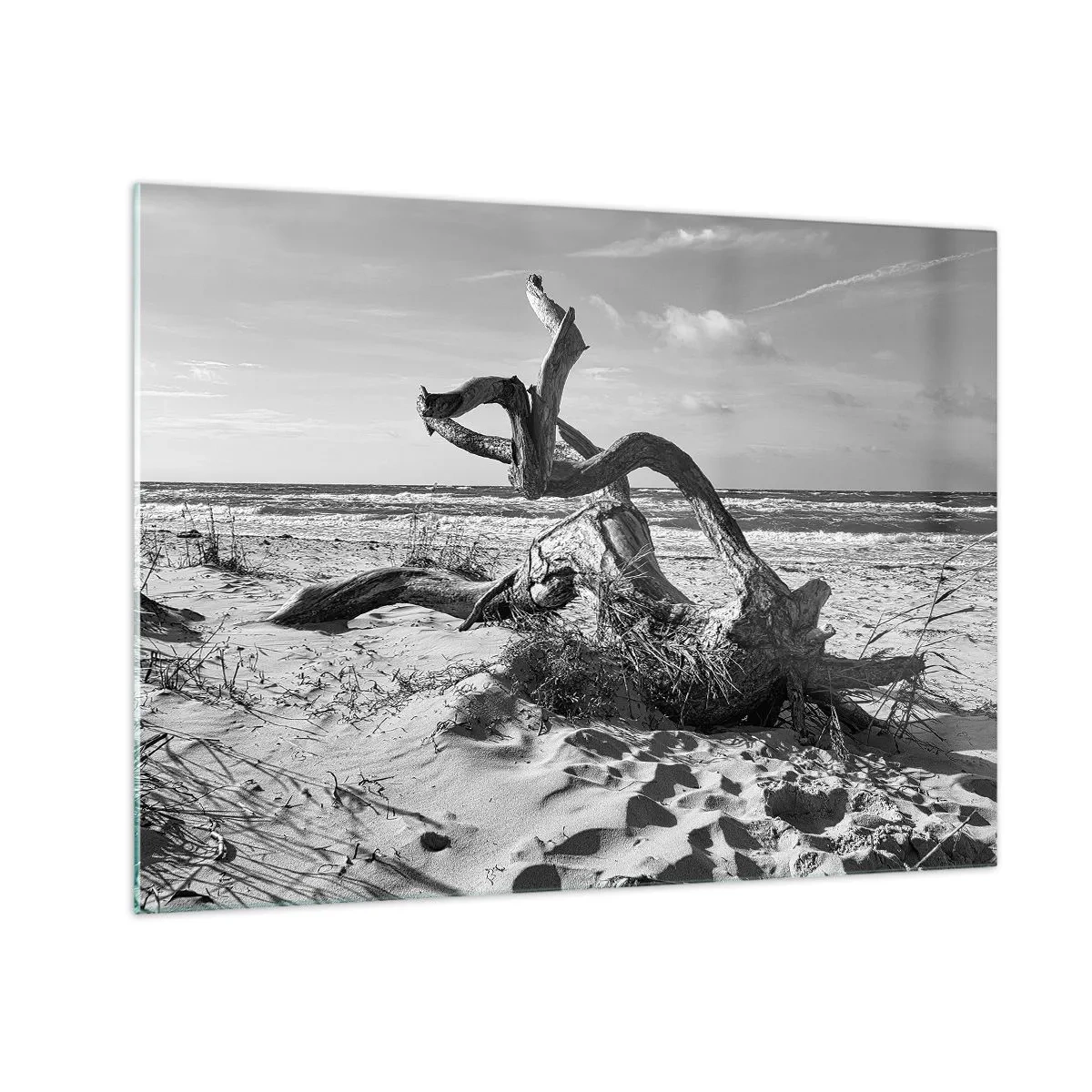 Cuadro sobre vidrio - Impresiones sobre Vidrio - Un paisaje en blanco y negro con una rama caída en una playa. - 70x50cm - Escultura marina - Decoración de pared moderna para salón y dormitorio ARTTOR