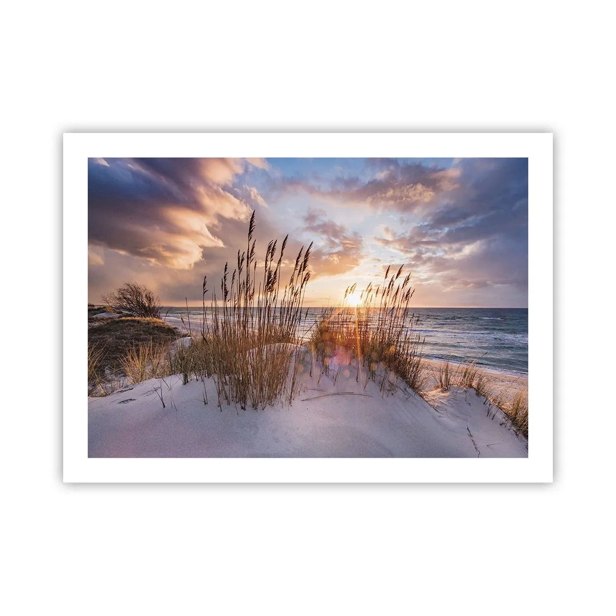 Póster - Adiós al sol y al viento - 70x50 cm