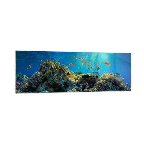 Cuadro sobre vidrio - Impresiones sobre Vidrio - Arrecife de coral con peces bajo los rayos del sol bajo el agua. - 160x50cm - Tesoros submarinos - Decoración de pared moderna para salón y dormitorio ARTTOR
