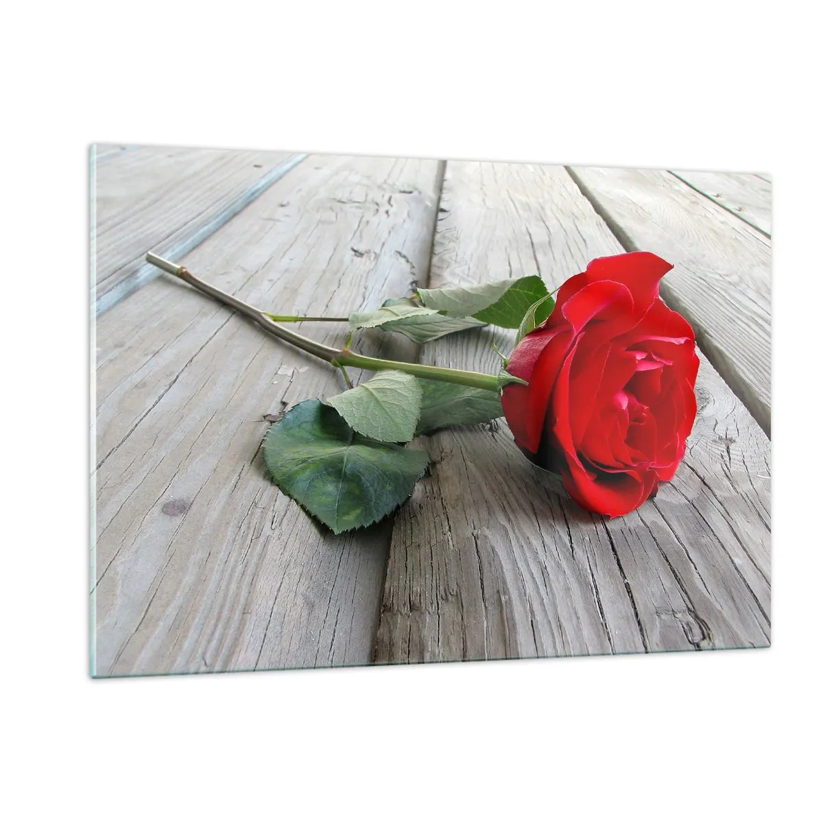 Cuadro sobre vidrio - Impresiones sobre Vidrio - Rosa roja sobre una tabla de madera - 120x80cm - Estudio en escarlata - Decoración de pared moderna para salón y dormitorio ARTTOR