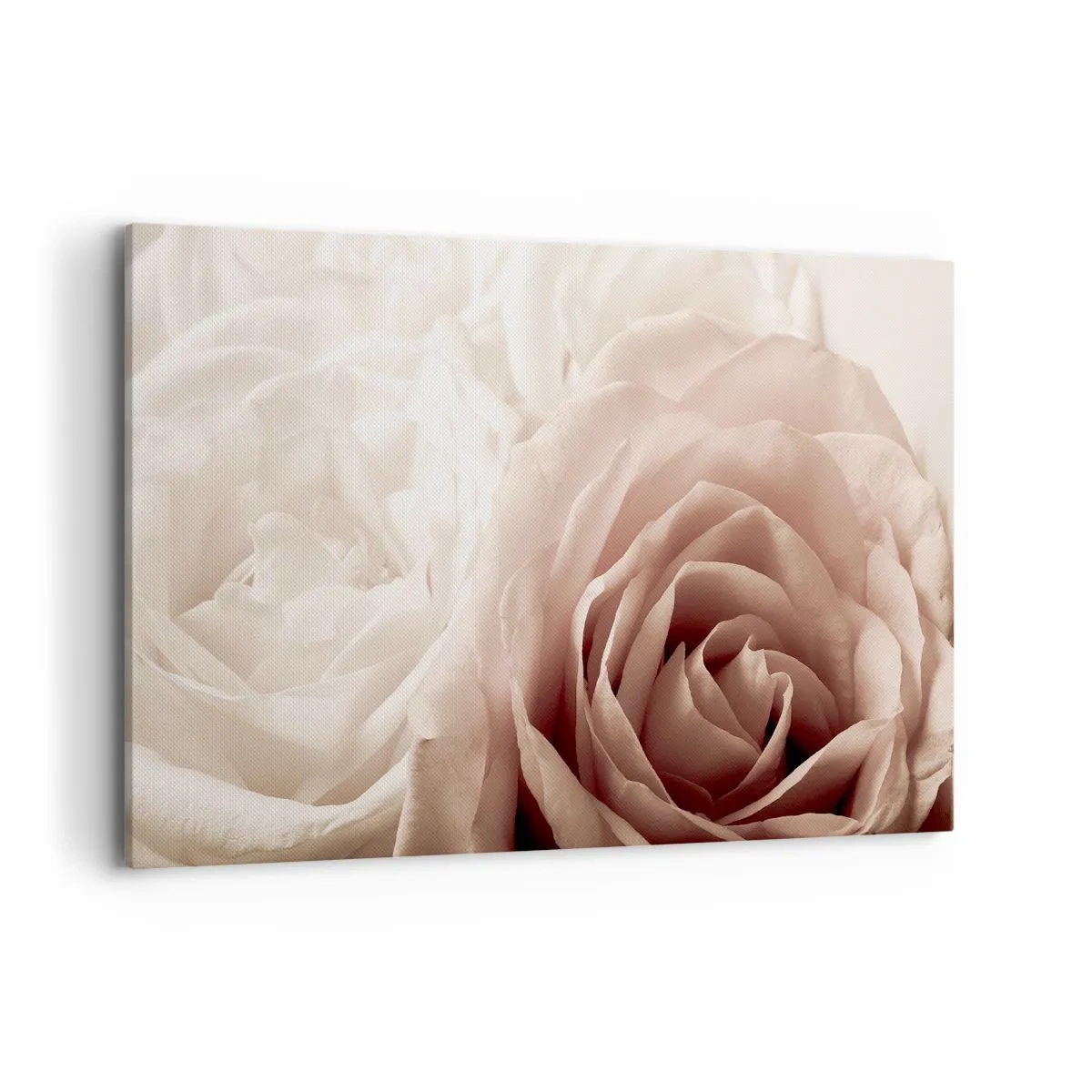 Cuadro sobre lienzo - Impresión de Imagen - Delicadas rosas en tonos pastel beige. - 120x80cm - En el corazón de una rosa - Decoración de pared moderna para salón y dormitorio ARTTOR