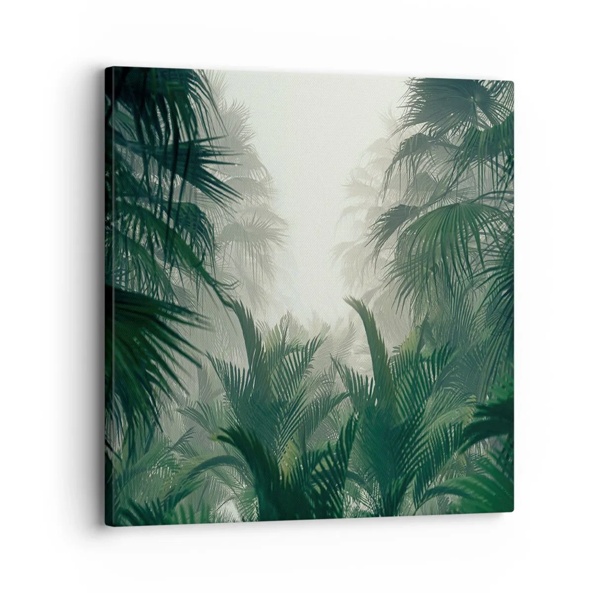 Cuadro sobre lienzo - Impresión de Imagen - Misterio tropical - 30x30 cm