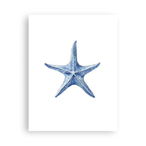 Póster - Estrella de mar - 30x40 cm