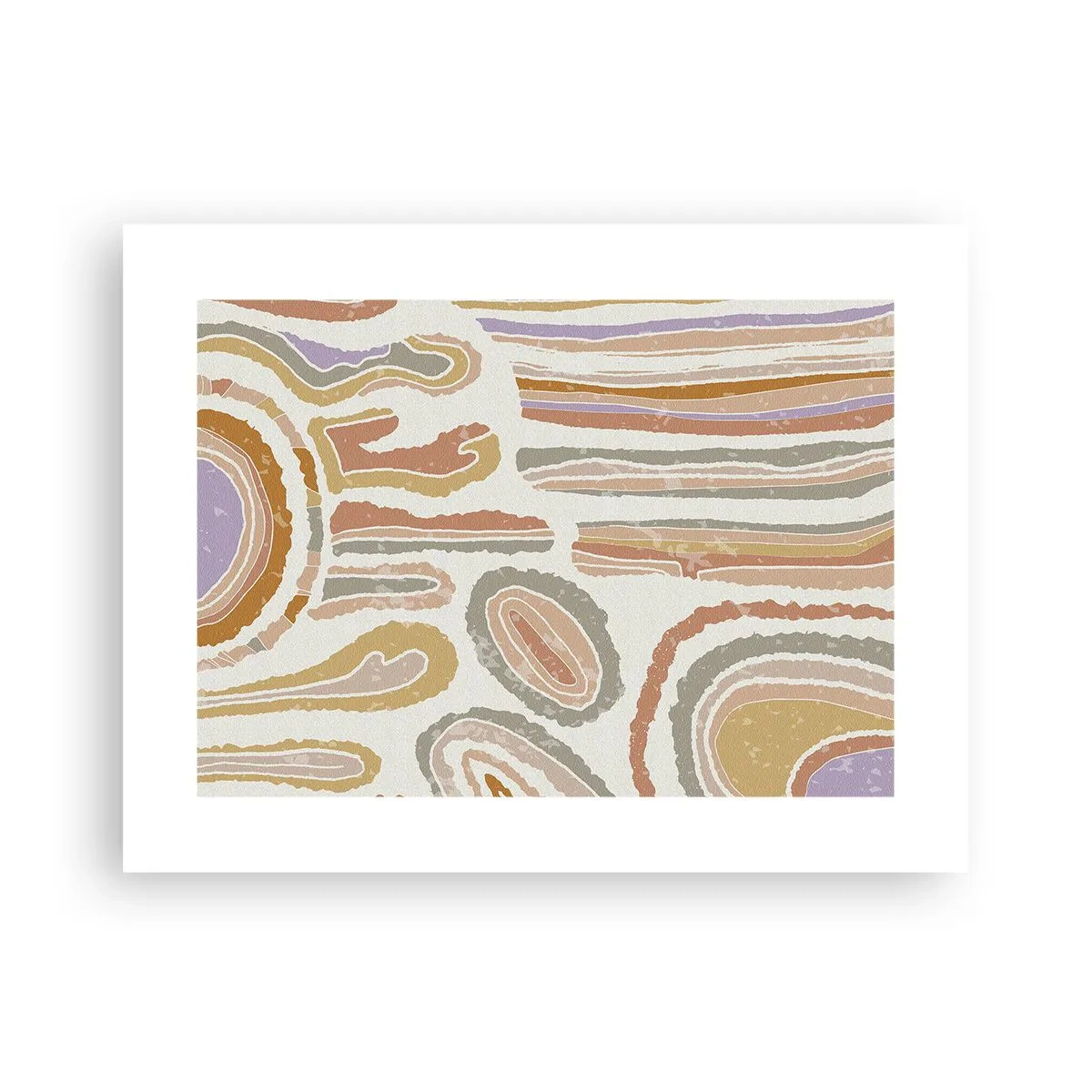 Póster - Cortes transversales llenos de color - 40x30 cm