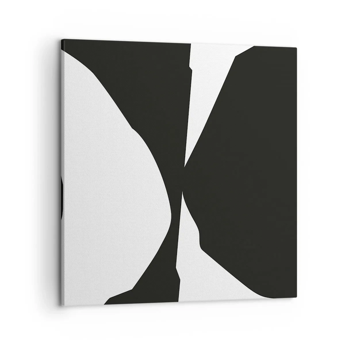 Cuadro sobre lienzo - Impresión de Imagen - Positivo-negativo - 50x50 cm