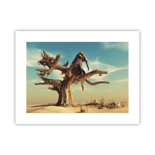 Póster - Un nuevo punto de vista - 40x30 cm