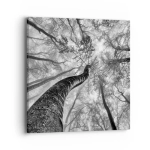 Cuadro sobre lienzo - Impresión de Imagen - Carrera hacia la luz - 40x40 cm