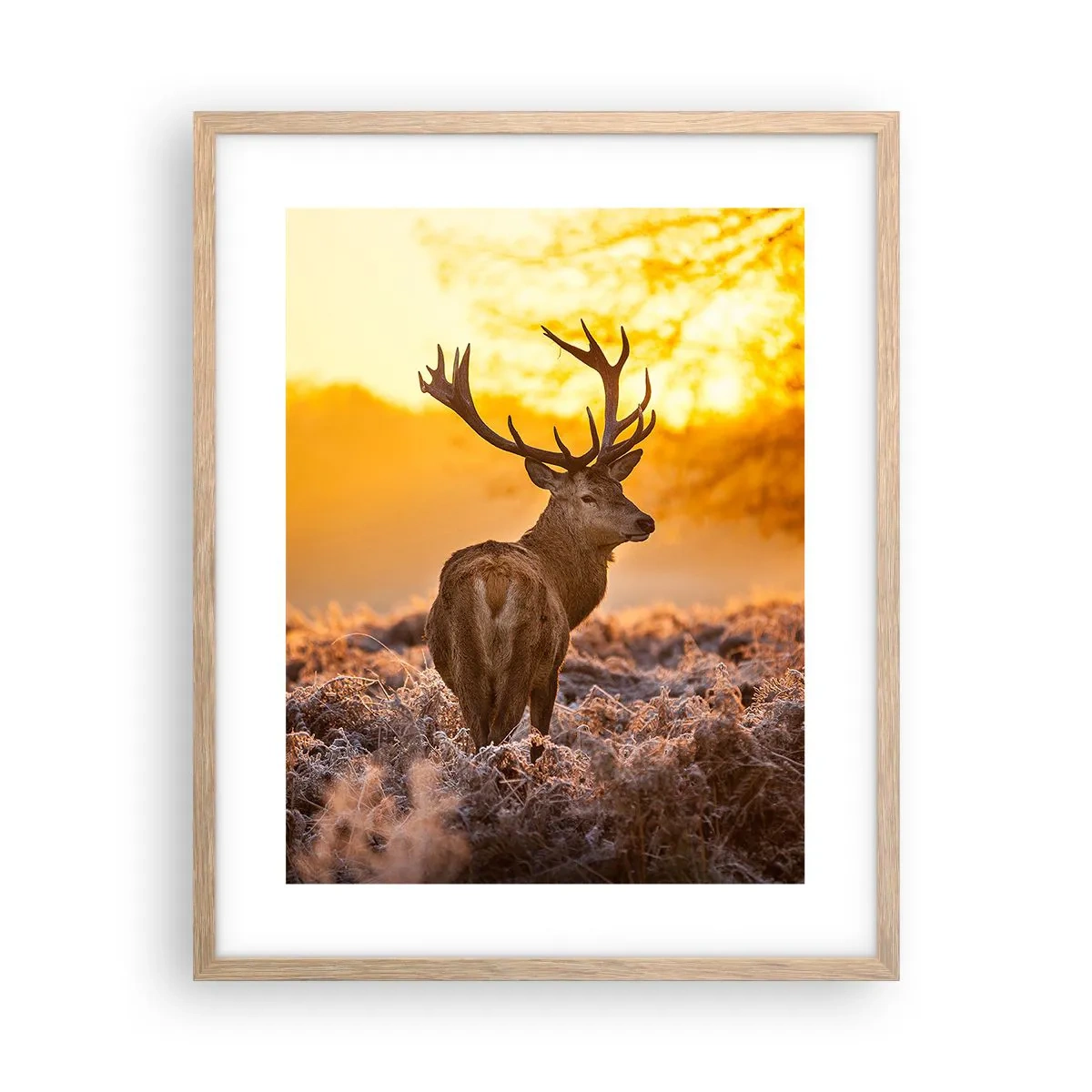 Póster en marco roble claro - Rey del bosque de otoño - 40x50 cm