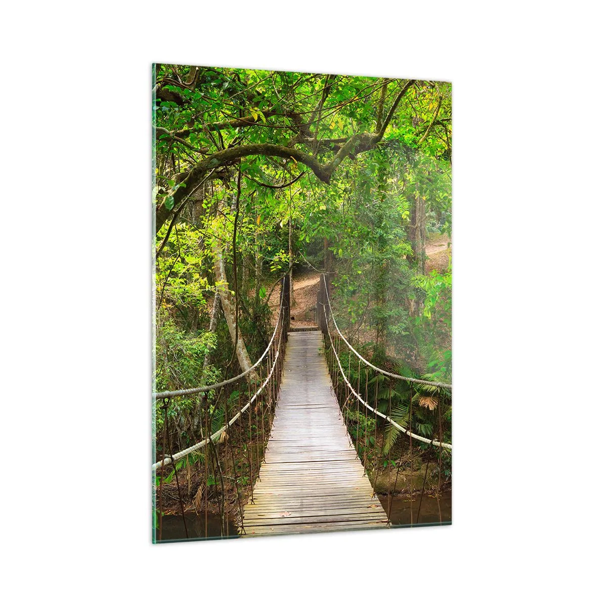 Cuadro sobre vidrio - Impresiones sobre Vidrio - Puente colgante en un bosque tropical - 50x70cm - Porque la vid crece en el jardín - Decoración de pared moderna para salón y dormitorio ARTTOR
