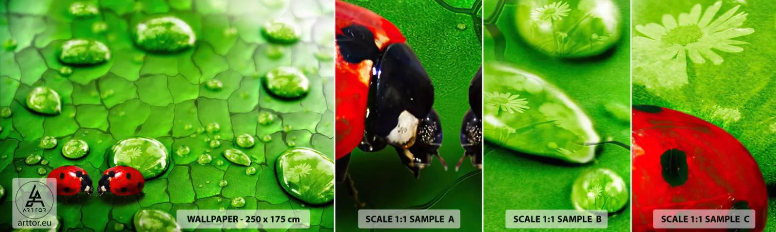 Muestra De Fotomural Standard Eco - Reunión sobre verde - Naturaleza, Mariquita, Una gota de agua - 100x30 cm