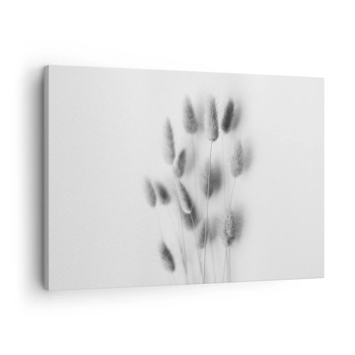 Cuadro sobre lienzo - Impresión de Imagen - Hierbas delicadas en tonos grises sobre un fondo blanco. - 70x50cm - Esponjas naturales - Decoración de pared moderna para salón y dormitorio ARTTOR