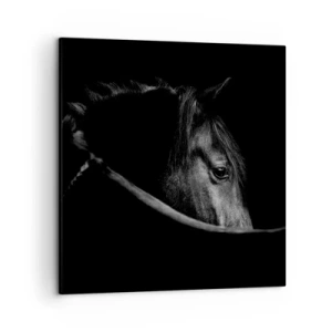 Cuadro sobre lienzo - Impresión de Imagen - Príncipe negro - 50x50 cm