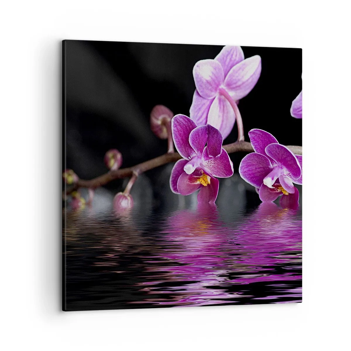 Cuadro sobre lienzo - Impresión de Imagen - Un reflejo lila de la belleza - 50x50 cm