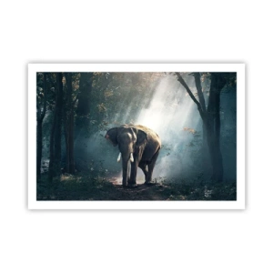 Póster - Un paseo tranquilo - 91x61 cm