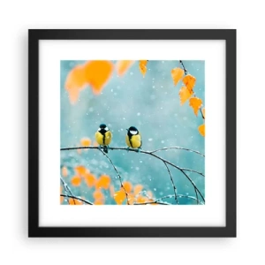 Póster en marco negro - Cotilleo de pájaros - 30x30 cm