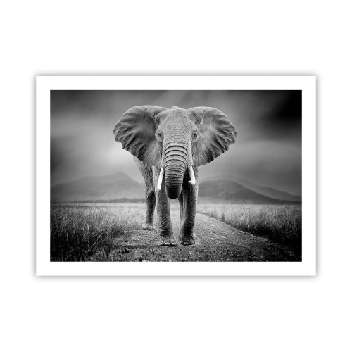 Póster - El anfitrión da la bienvenida - 70x50 cm