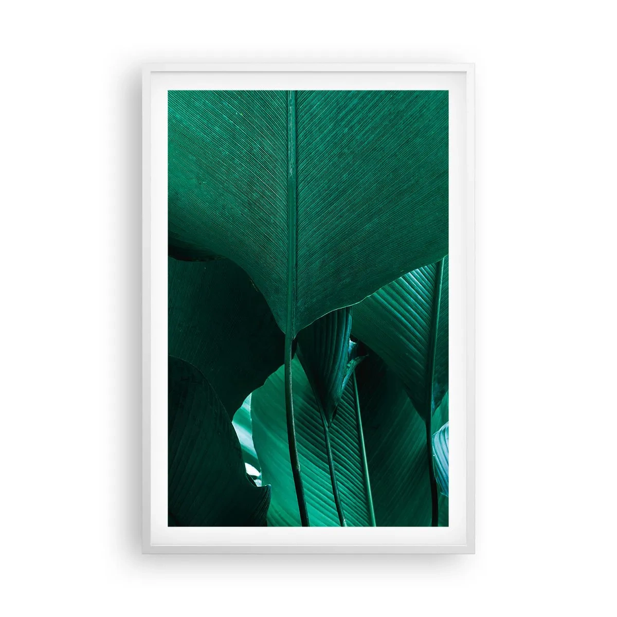 Póster en marco blanco - De cara a la luz - 61x91 cm