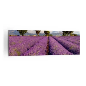 Cuadro sobre lienzo - Impresión de Imagen - Un campo de lavanda con árboles con el telón de fondo de montañas y cielo. - 160x50cm - Campos de lavanda - Decoración de pared moderna para salón y dormitorio ARTTOR