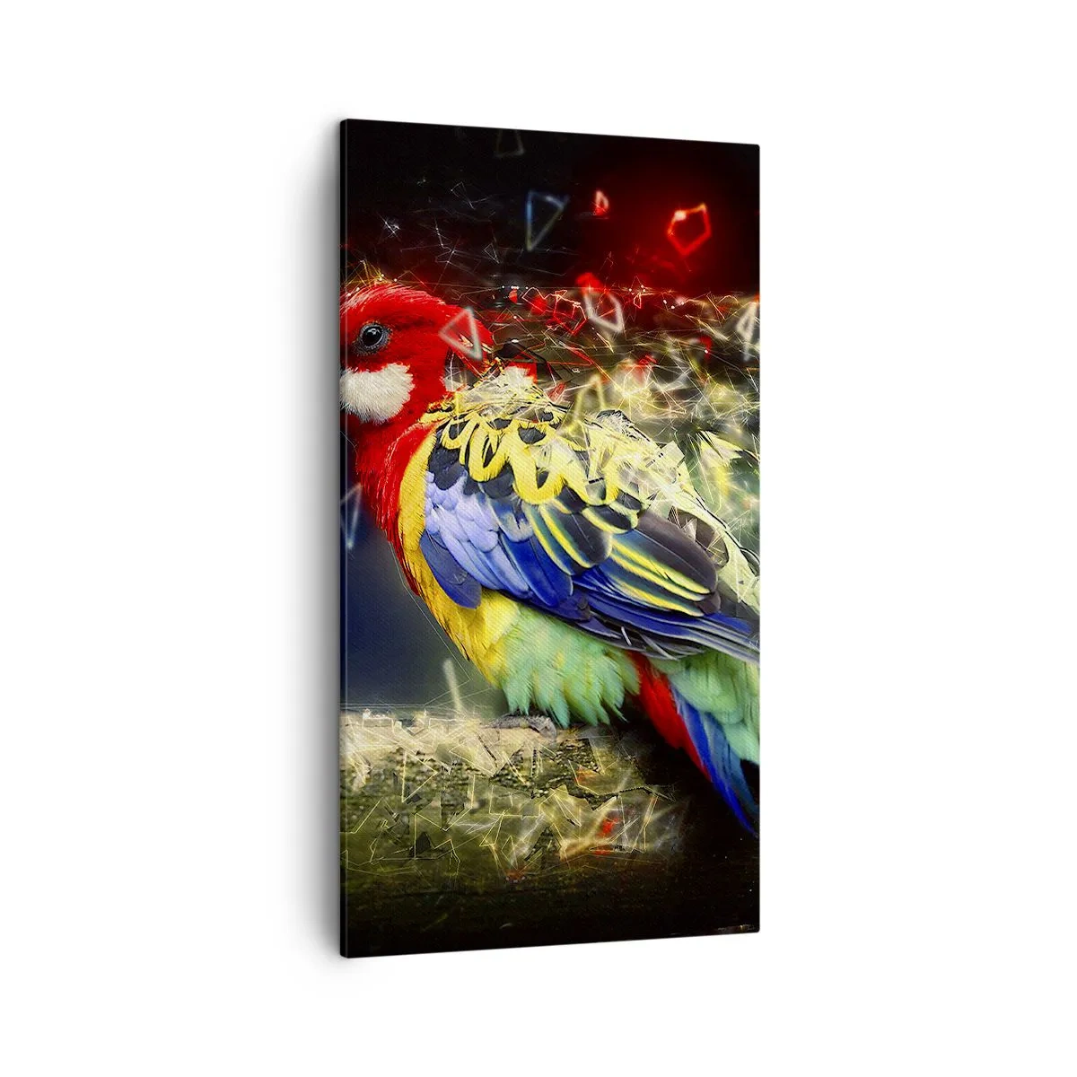 Cuadro sobre lienzo - Impresión de Imagen - Un mensajero del glamour - 45x80 cm
