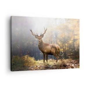 Cuadro sobre lienzo - Impresión de Imagen - Ciervos en el bosque otoñal con rayos de sol. - 70x50cm - Con toda la majestuosidad - Decoración de pared moderna para salón y dormitorio ARTTOR
