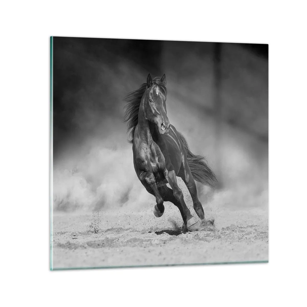 Cuadro sobre vidrio - Impresiones sobre Vidrio - Digno del propio emir - 70x70 cm