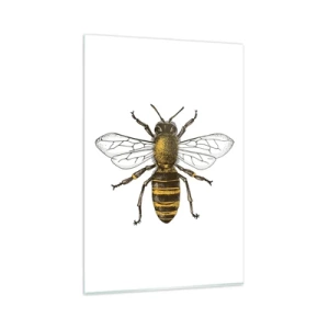 Cuadro sobre vidrio - Impresiones sobre Vidrio - Ilustración detallada de una abeja sobre un fondo blanco. - 80x120cm - Bondad natural - Decoración de pared moderna para salón y dormitorio ARTTOR