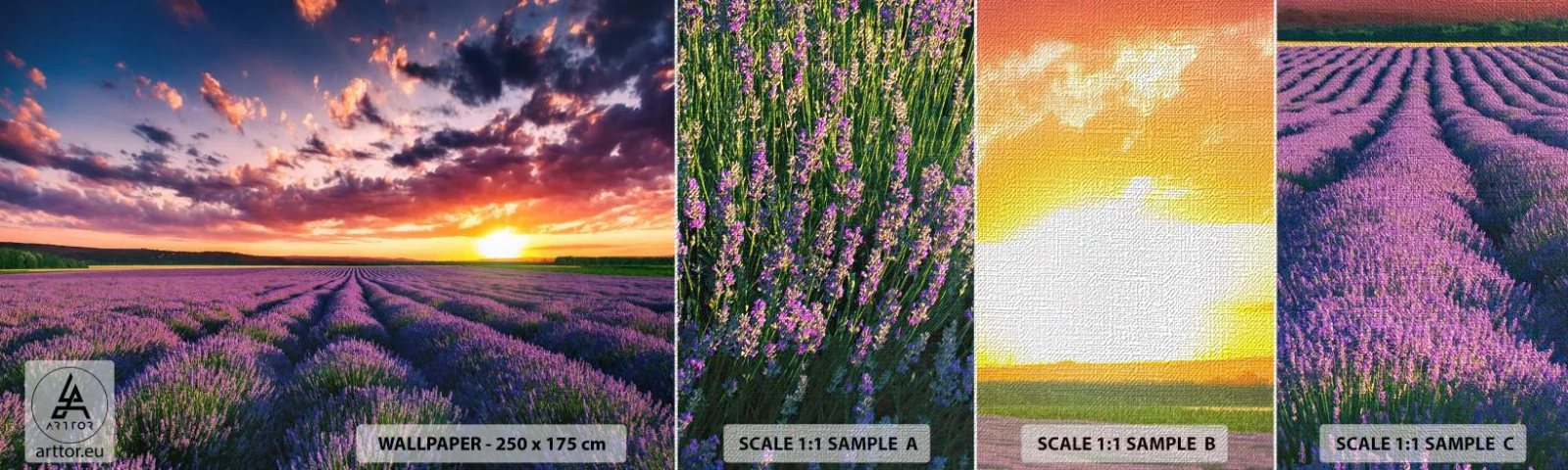 Muestra de fotomural Premium Canvas - El mundo de la lavanda - Paisaje, campo de lavanda, Lavanda - 100x30 cm