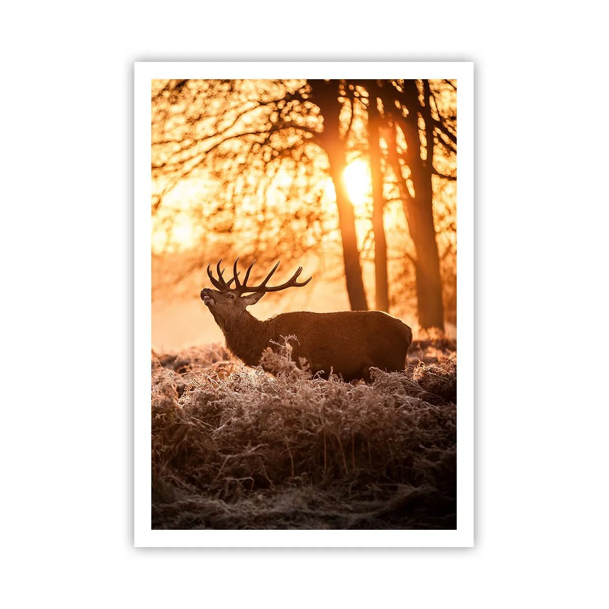 Póster - El sueño de un cazador - 70x100 cm