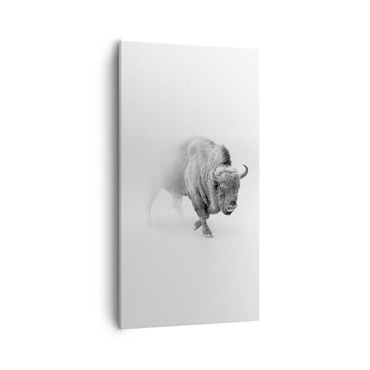 Cuadro sobre lienzo - Impresión de Imagen - Rey de la pradera - 55x100 cm