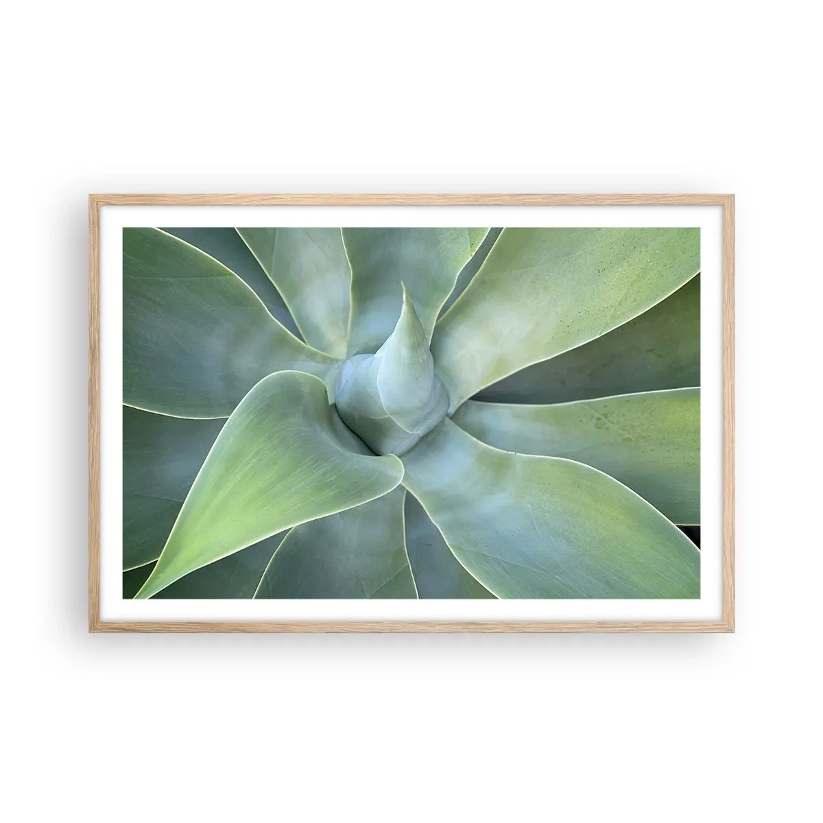 Póster en marco roble claro - El nacimiento del verde - 91x61 cm