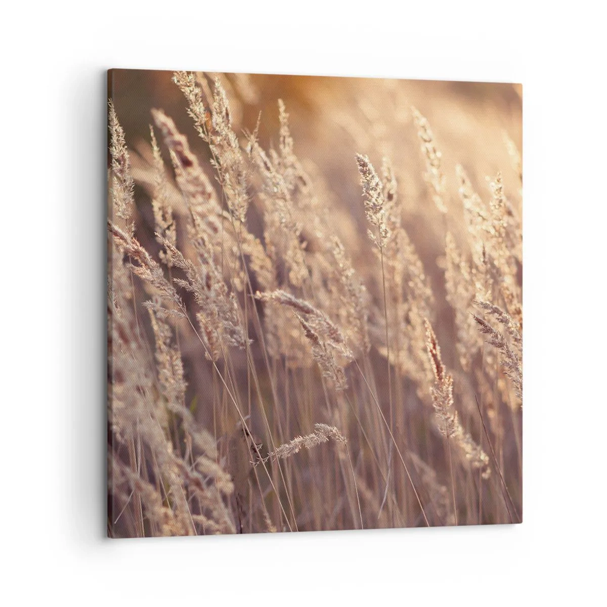 Cuadro sobre lienzo - Impresión de Imagen - Listos para dar la bienvenida al otoño - 50x50 cm